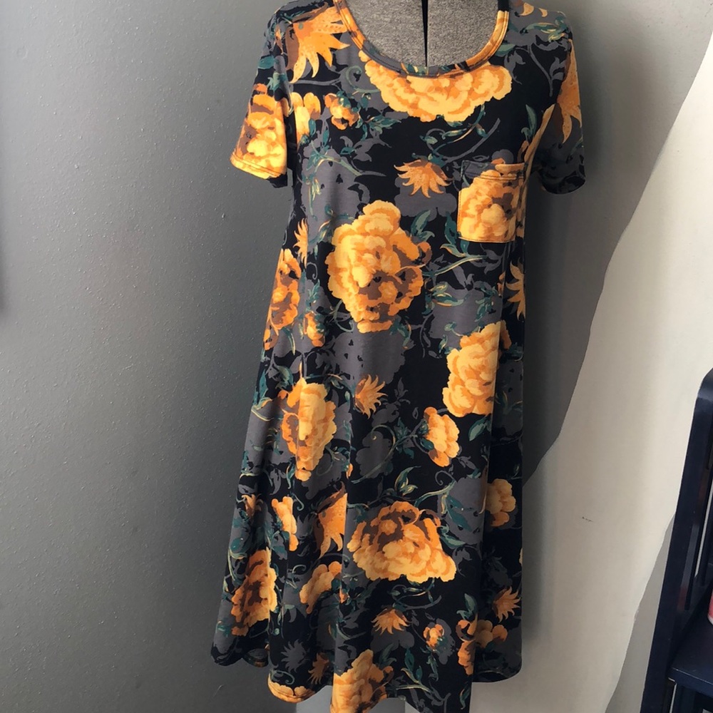 LuLaRoe Carly